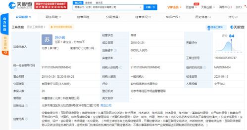 計算機軟件的技術開發與銷售 創新驅動與市場拓展的雙輪驅動